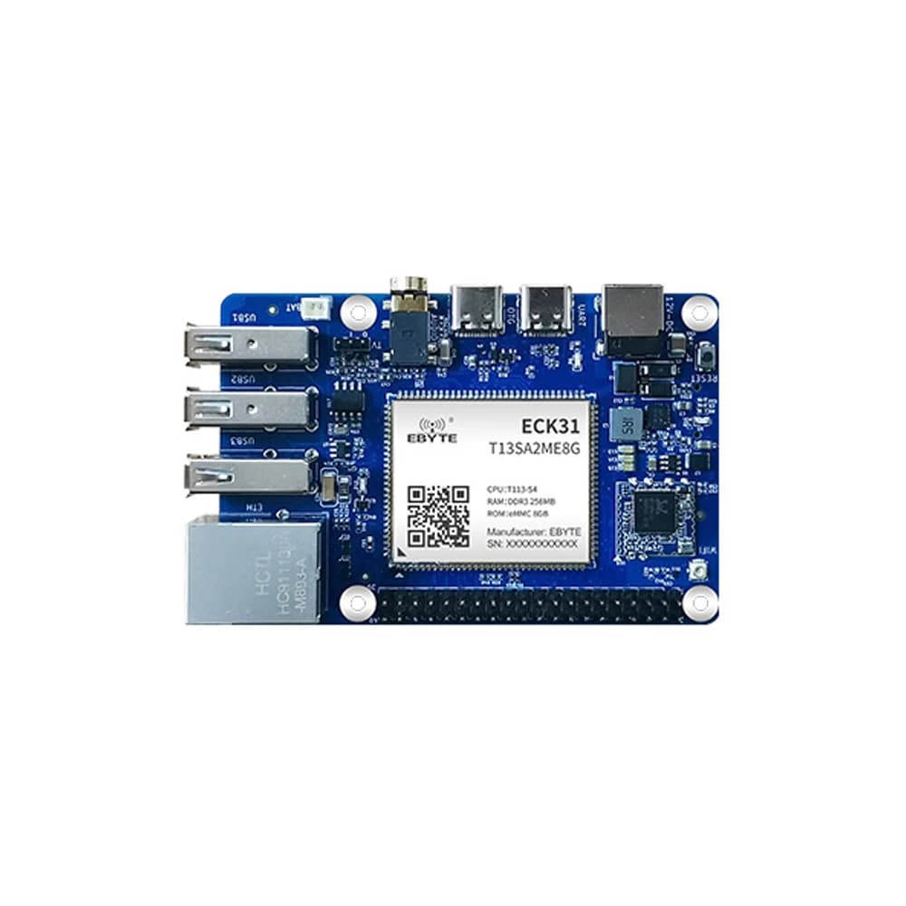 EBYTE ECB31-P4T13SA2ME8G industrial-grade high-performance ARM embedded system Allwinner T113-S single-board computer Compatible with Raspberry Pi