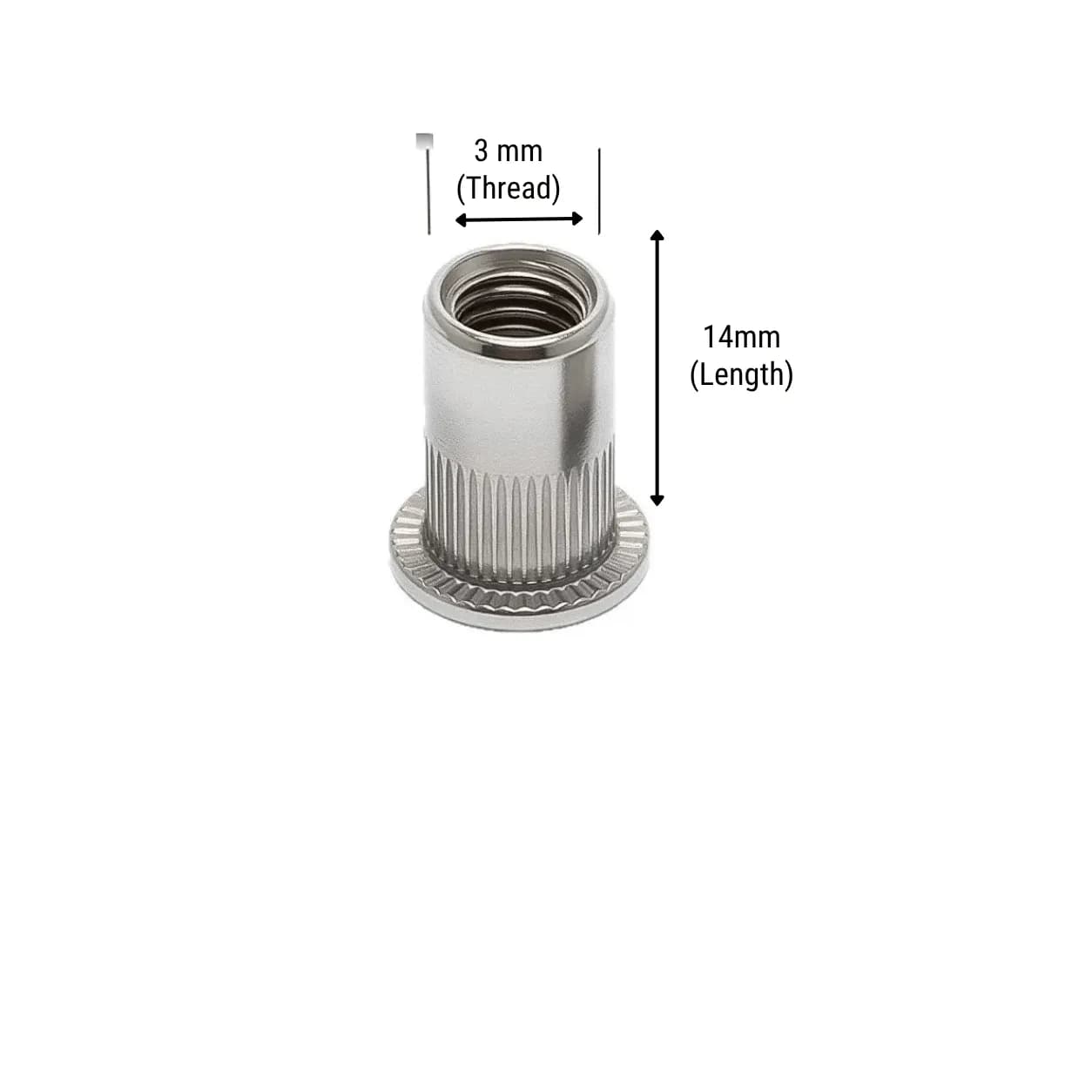 M3 × 14 mm 304 Stainless Steel Flat Head Knurled Rivet Nut (Pack of 10pcs)